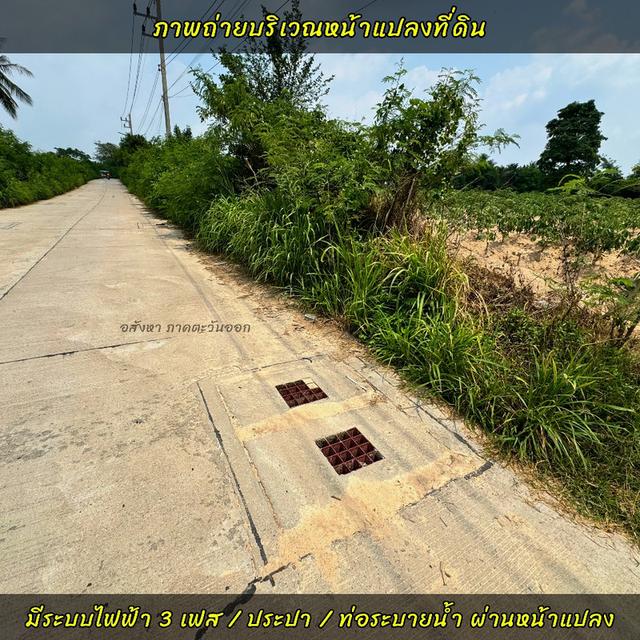 ขายที่ดินศรีราชา ใกล้ท่าเรือแหลมฉบังชลบุรี 4