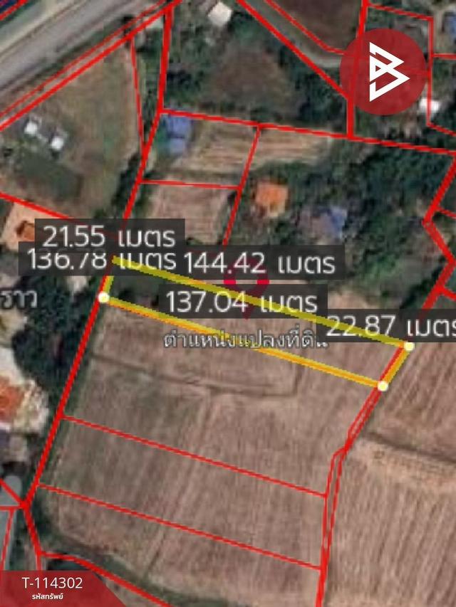 ขายที่นา เนื้อที่ 2 ไร่ อำเภอหนองแค สระบุรี 4