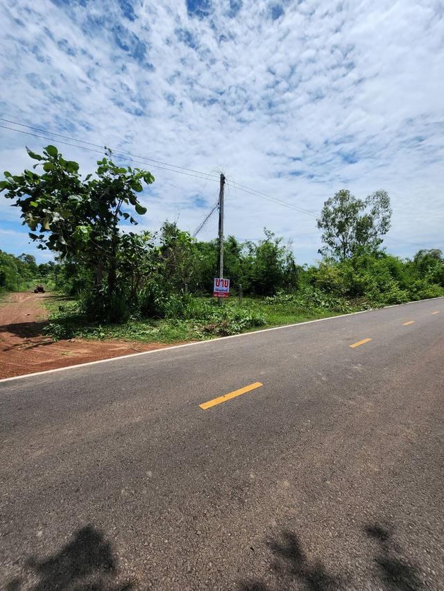 ขายที่ดินโฉนด อ.ทุ่งฝน เนื้อที่ 105 ตรว. 7