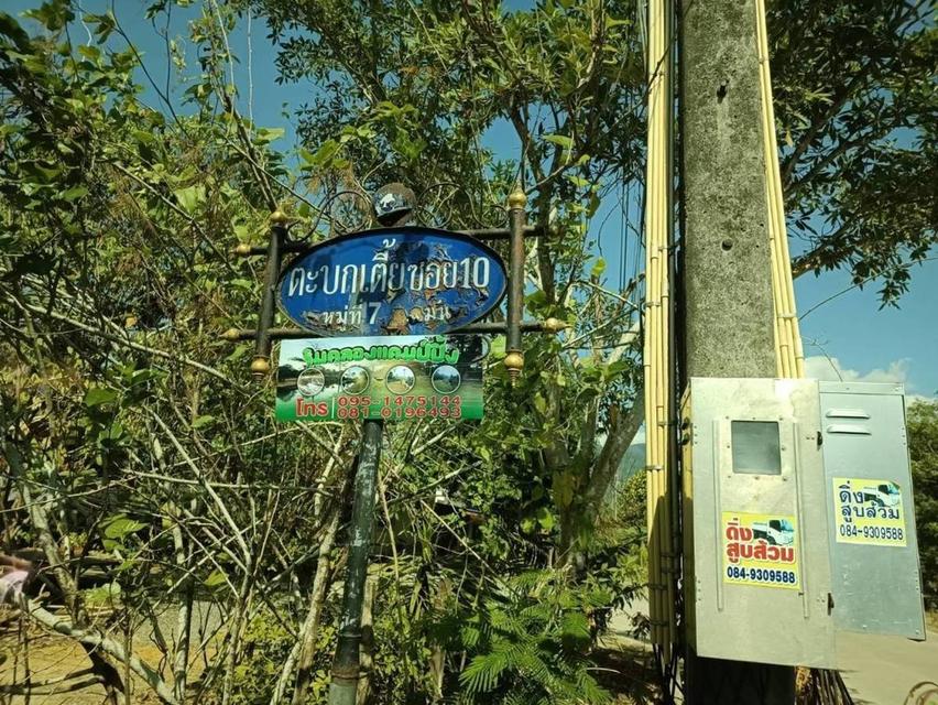 ที่ดินสวนทุเรียน ติดน้ำตกทุ่งเพล อ.มะขาม จ.จันทบุรี 10 ไร่ 8