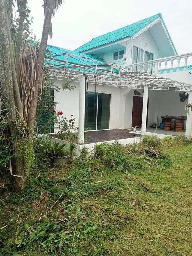 ขายบ้านเดี่ยว 2 ชั้น เนื้อที่ 159.1 ตรว. (ใกล้สถานีรถไฟป่าแดด) ซ.ทุ่งศรีทอง 3 ต.โรงช้าง อ.ป่าแดด จ.เชียงราย 3