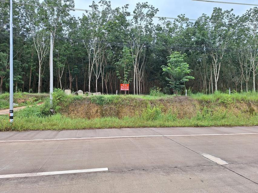 ขายที่ดินติดสะพานขาเข้ามิตรภาพไทย-ลาว 1