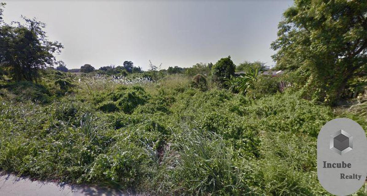 รูป P56LA2001036 ขาย ที่ดิน เหมือง 9-3-39 ไร่ 1