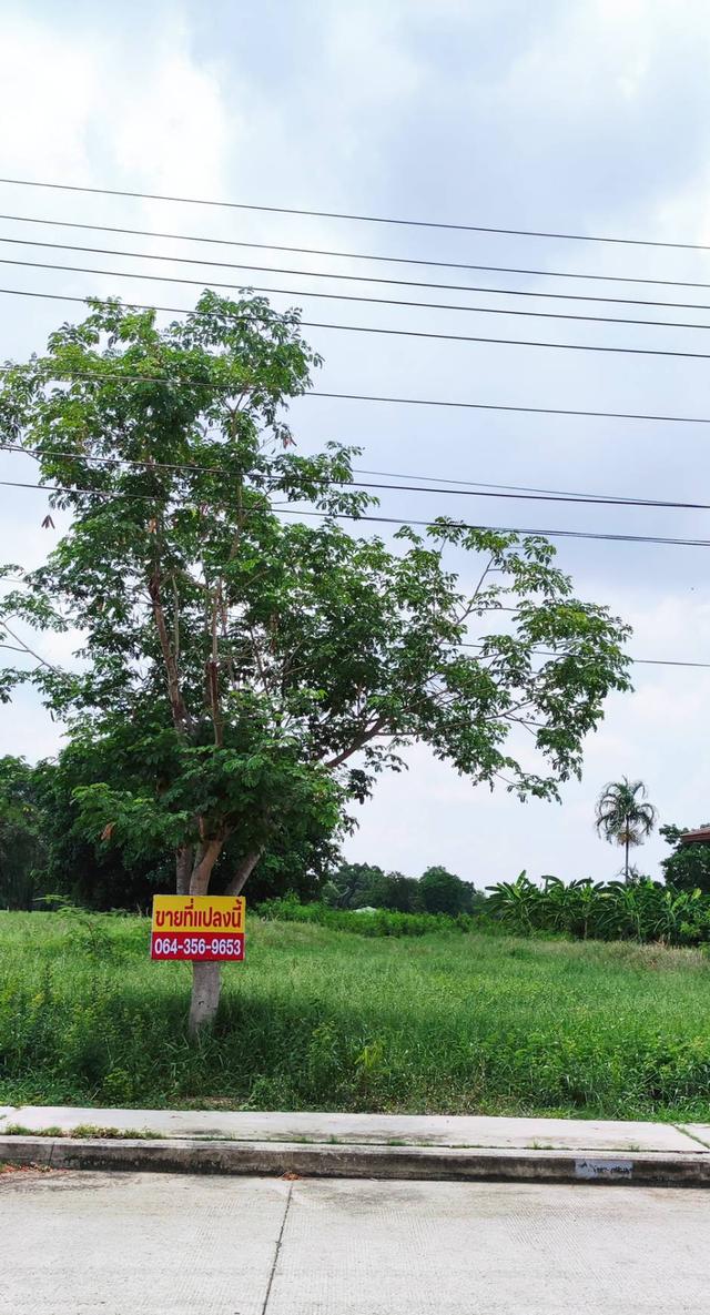 ที่ดิน 1 ไร่  ในสนามกอล์ฟ 7