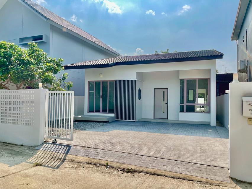 บ้านเดี่ยวชั้นเดียวให้เช่า พื้นที่กว้าง ทำเลดี สวย ครบ จบในเที่เดียว 1