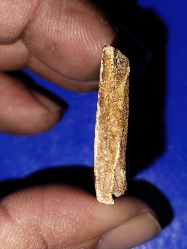 พระสมเด็จฯวัดระฆังพิมใหญ่ 6