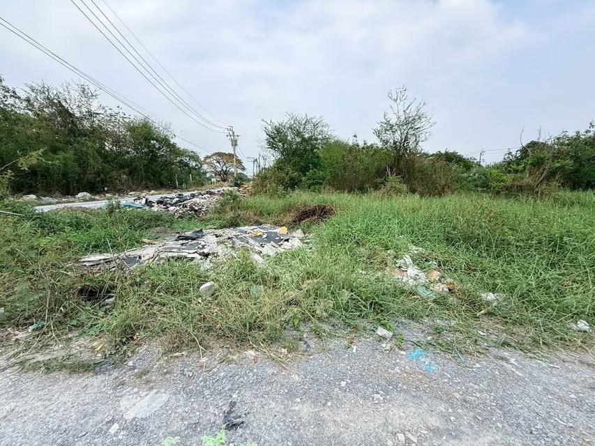 ขายด่วนที่ดิน 115 ตารางวา แปลงมุม ติดถนนสาธารณะ รร.บ้านคลองฝรั่ง อ.ไทรน้อย จ.นนทบุรี 3