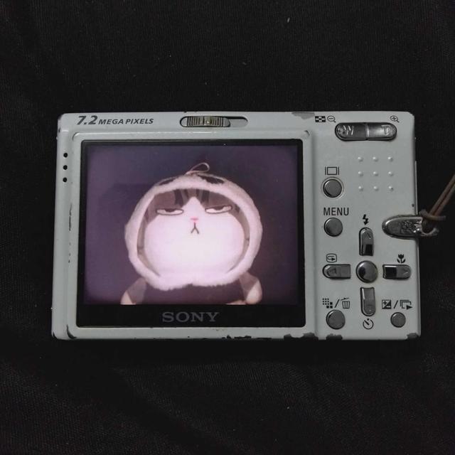 Sony DSC-T10