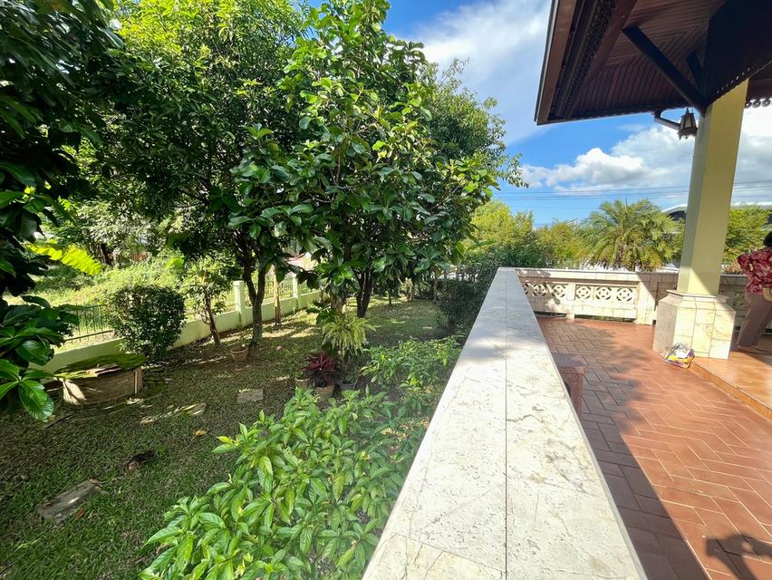 บ้านนอกโครงการ แถวพืชสวนโลก 6