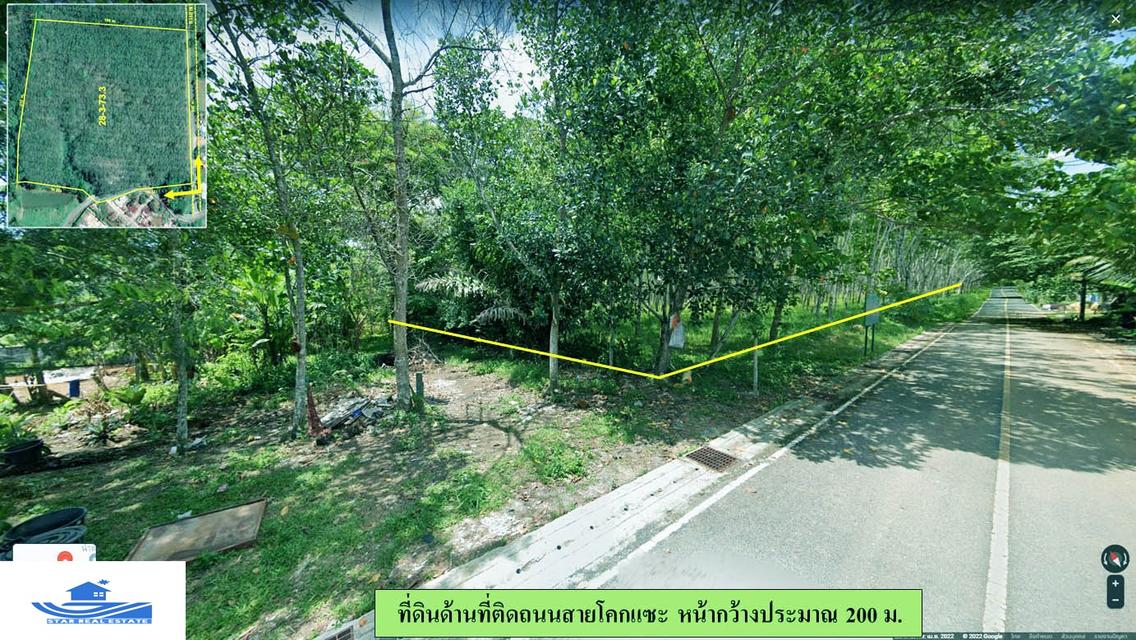 ขายด่วนที่ดินติดพนาสนธิ์ โตนไทร  14