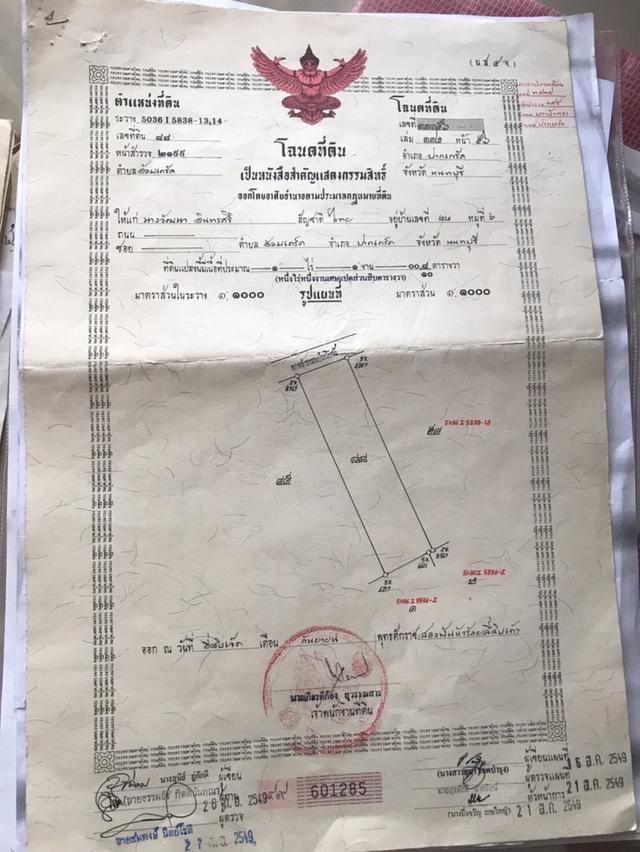 ขายที่ดินไกล้วัดใหญ่สว่างอารมณ์ติดแม่น้ำเจ้าพระยา 3