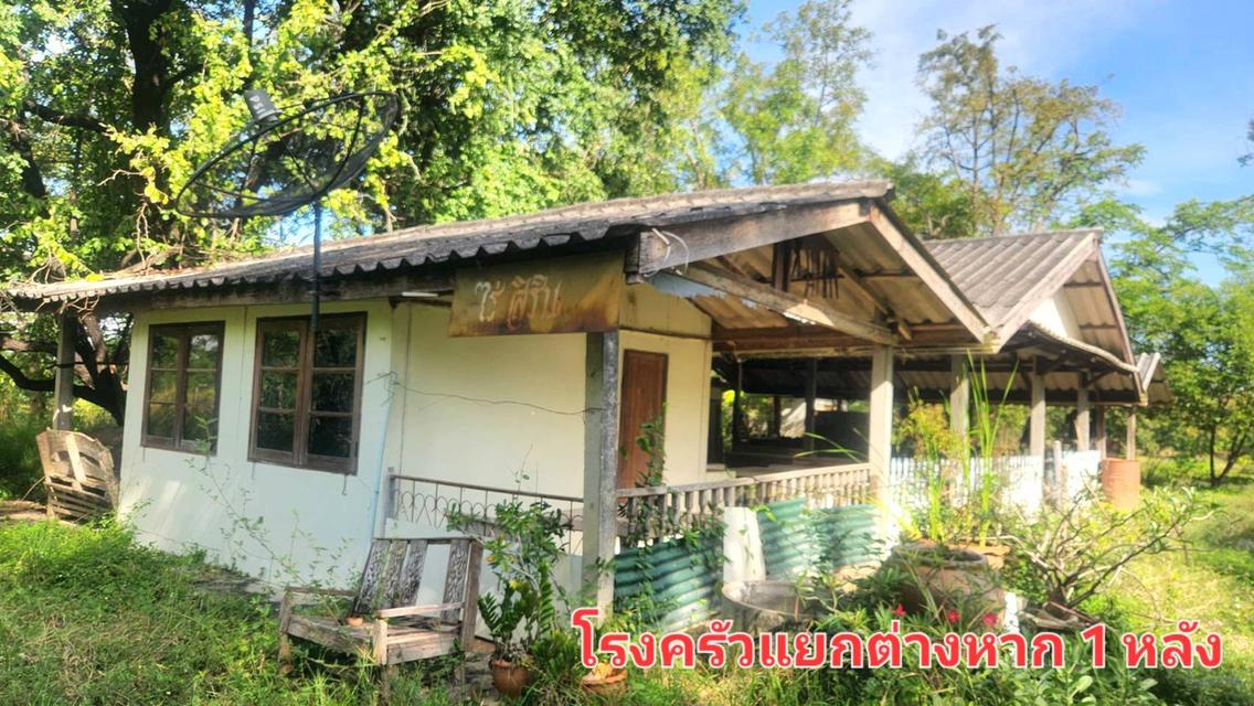 ขายที่สวน มีโฉนด อยู่ใกล้ถนนหลัก อ.ดอนเจดีย์  จ.สุพรรณบุรี 5