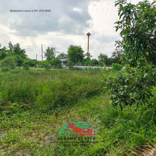 ที่ดินเปล่า200ตรว. ผังสีเขียว ซ.ลำลูกกา196 หนองจอก 5
