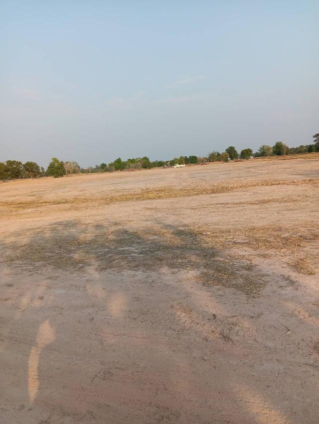 ที่ดิน 30 ไร่ ติดถนนเมืองพล หนองสองห้อง ถนนเจนจบทิศ ทางขึ้นลงทางด่วน มอเตอร์เวย์ M6 กรุงเทพ หนองคาย ที่ดินถมแล้ว 5 ปี พร้อมสร้างหมู่บ้าน 3