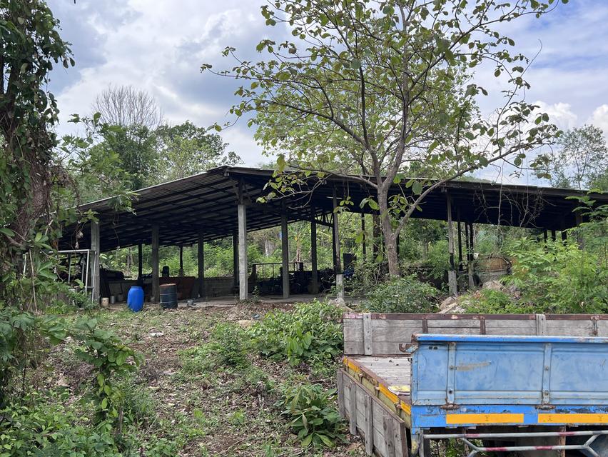 ที่ดิน 23 ไร่ อำเภอ แม่ทะ จังหวัด ลำปาง 3