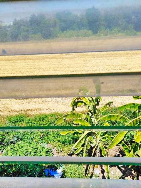 โรงพยาบาลมิตรสัมพันธ์บิ๊กซี หนองจอก ให้เช่าทาวน์เฮ้าส์ 2 ชั้น ครึ่ง และดาดฟ้า 19ตรว. 150ตรม. เลียบวารี 2นอน 2น้ำ 2จอดรถ 6