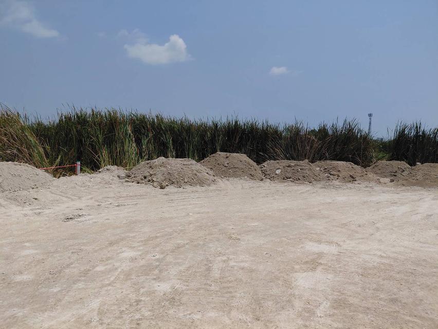 ขายที่ดิน ลาดกระบังคุ้มเกล้า 8