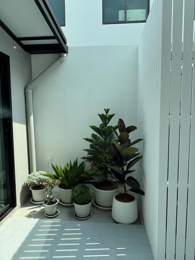 ให้เช่า ทาวน์โฮม3 ชั้น Pleno สุขุมวิท-บางนา 4 บ้านใหม่ พร้อมเข้าอยู่อาศัย 2