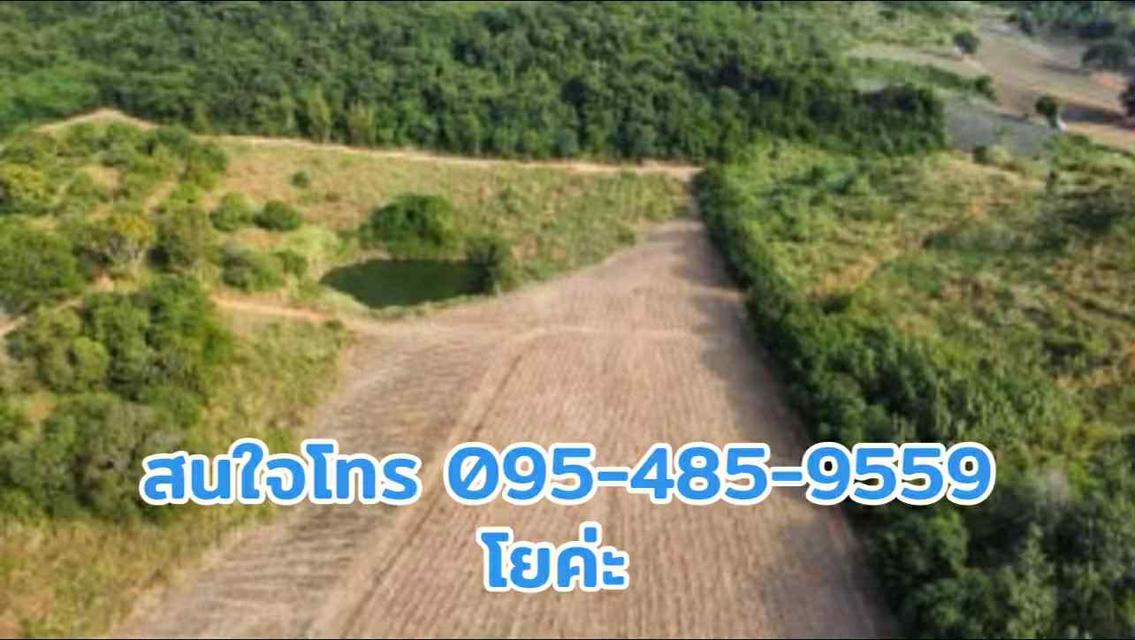 ที่ดินติดวิวเขา ใกล้อ่างเก็บน้ำ เหมาะทำบ้านสวนหรือลงทุน