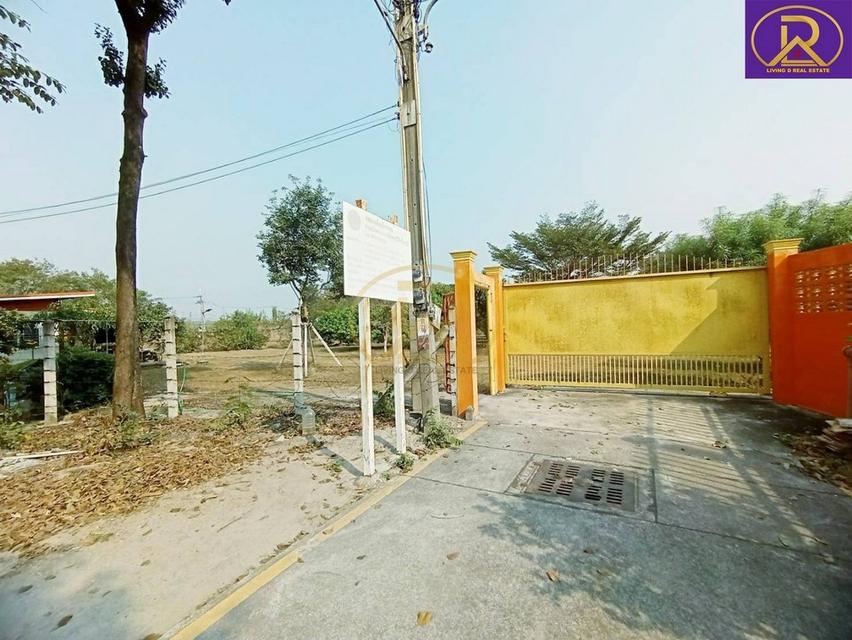 ขายบ้านสวน บ้านพัก 1-2-33 ไร่ พร้อมผลไม้ หลากหลายชนิด ทำเลดี เหมาะสำหรับพักผ่อน ต.บ้านสวน อ.เมืองชลบุรี จ.ชลบุรี 8