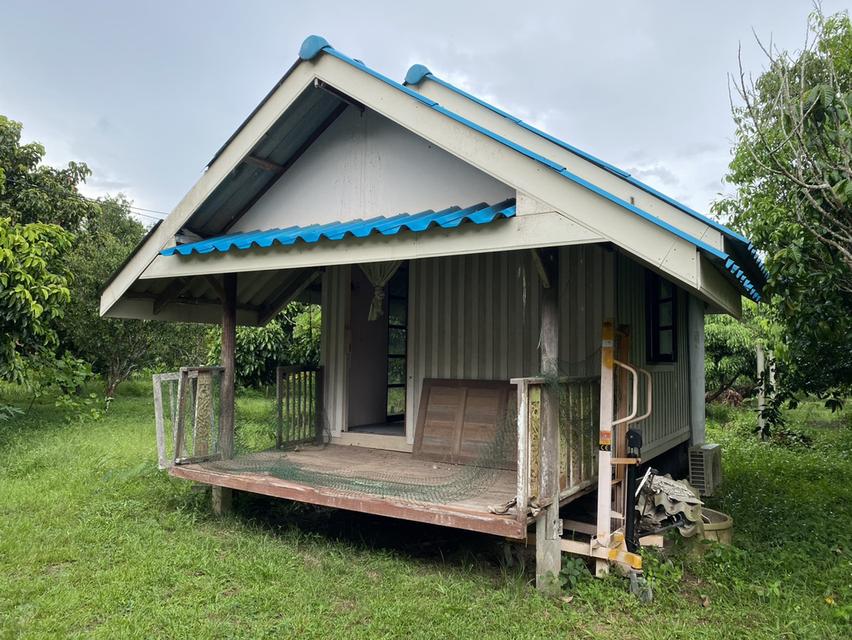 ขายที่ดินพร้อมบ้าน เนื้อที่ 365 ตารางวา อ.เกาะจันทร์ จ.ชลบุรี 3