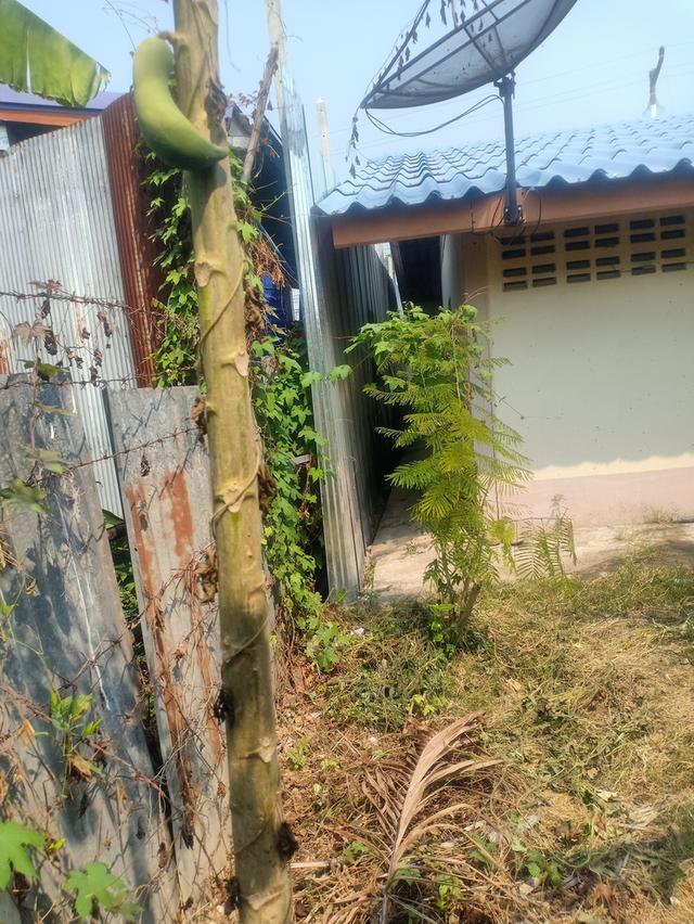 ที่ดินพร้อมบ้านราคาถูก🏡 7