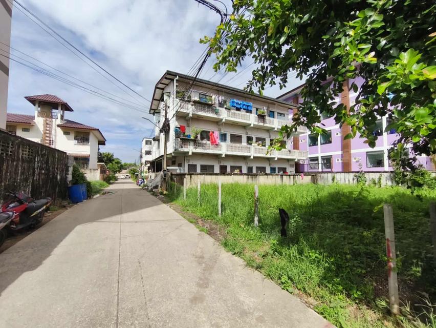 ขายที่ดินสวยถมแล้วคูบางหลวงสีม่วง 60 ตรว.ซอยเรณูอุทิศ ใกล้ถ.ปทุมธานี-บางเลน346-200เมตร อ.ลาดหลุมแก้ว ปทุมธานี 7