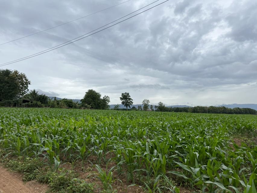 ขายที่ดินเปล่าเขาใหญ่ ขนาด 17-2-7 ไร่ วิวสวยมาก อยู่บนเนินเขา 2