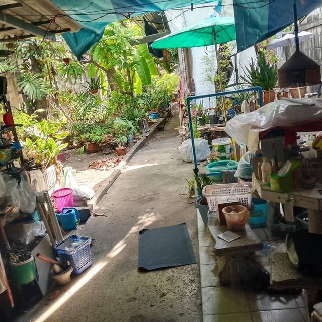 ขายตึกแถวติดถนนใหญ่99 ตารางวา  Sale Shophouse Old buildings 4