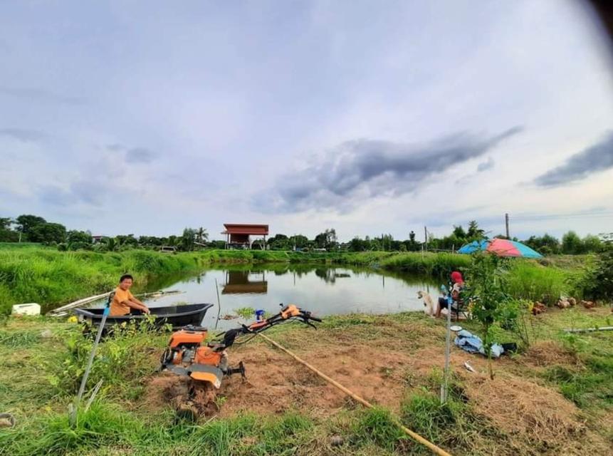 บ้านที่ดินรีสอร์ทร้านอาหารบ่อตกปลาห้องพัก​คาเฟ่​ 5