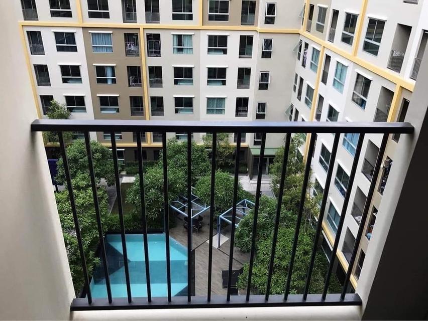ขาย Plum Condo แหลมฉบัง เฟส 2 ชั้น 7 วิวสระว่ายน้ำ 6