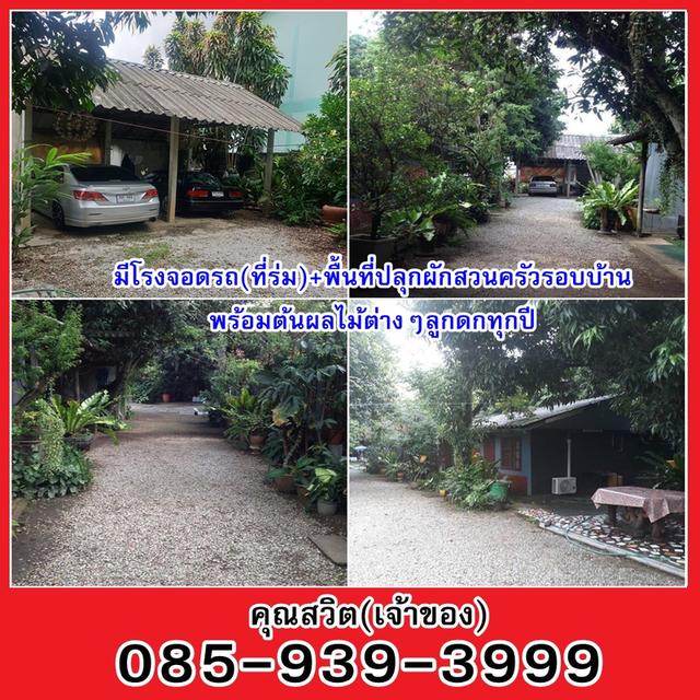 ขายบ้านและที่ดิน ต.ริมกก จ.เชียงราย(เจ้าของขายเอง) 5