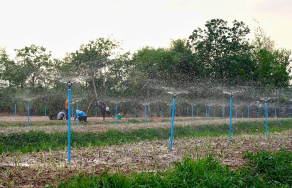 ขายถูกมากห้ามพลาดที่ดินทำเลทอง ติดถนน 4 เลน 207 อำเภอประทายโคราช หน้ากว้าง 80 เมตร ขายถูก 1.39 ล้าน ต่อไร่ 8