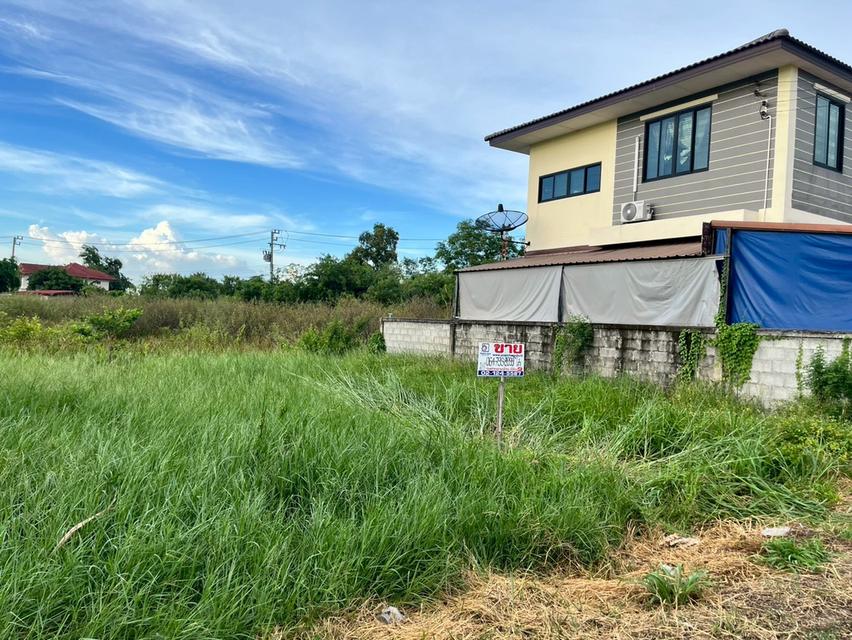 ที่ดินเปล่า ถมแล้ว ใกล้มหาวิทยาลัยธรรมศาสตร์ศูนย์รังสิต ถนนเชียงราก ต.เชียงรากใหญ่ อ.สามโคก จ.ปทุมธานี 7