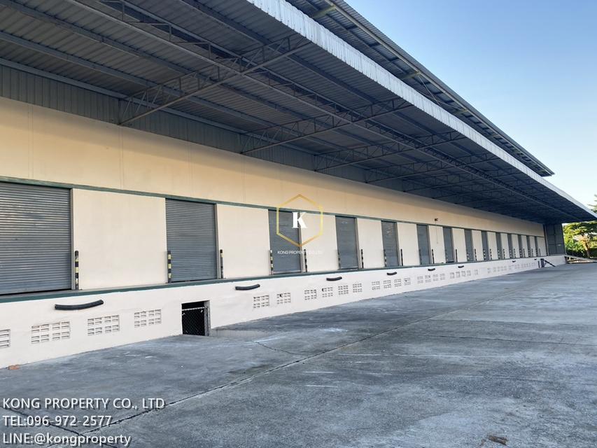 ให้เช่าโกดัง พุทธมณฑลสาย 5 สามพราน นครปฐม ขนาด 6,000 ตรม. 1