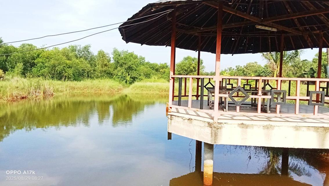 ที่ดิน คลองหก ปทุมธานี 26 ไร่ 3 งาน 17 ตรว. 7