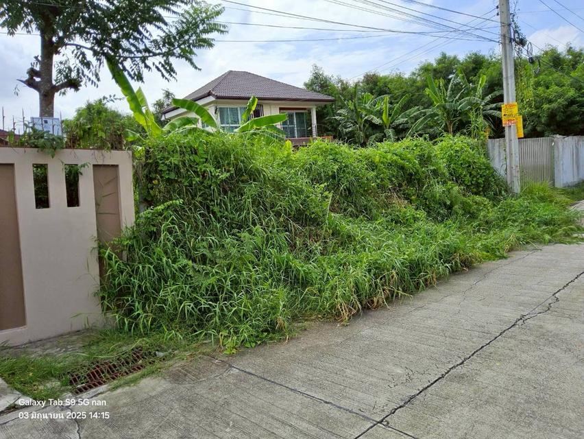 ขายที่ดินพุทธมณฑลสายสอง 113 ตรว ติดถนนคอนกรีตสาธารณะ ถมแล้ว  ซ.11 ภาษีเจริญ กทม. 7