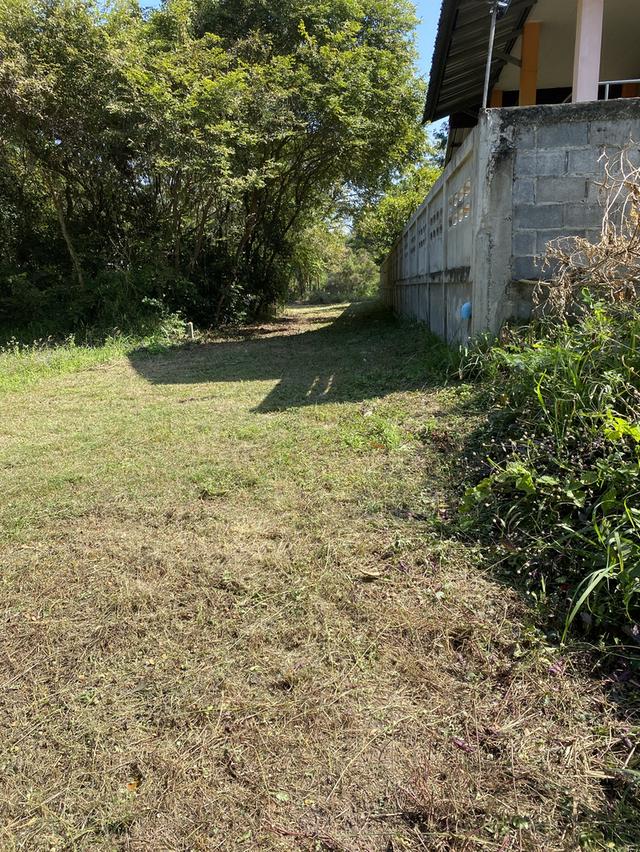 ที่ดินเปล่าอยู่หลังโรงเรียนมหาวิชานุกูล 2 แปลงแปลงละ 100 ตรว ใกล้ศาลากลาง โรงเรียน สถานที่ราชการ สถานี บขส สนามกีฬาจังหวัด สถานีรถไฟ 3