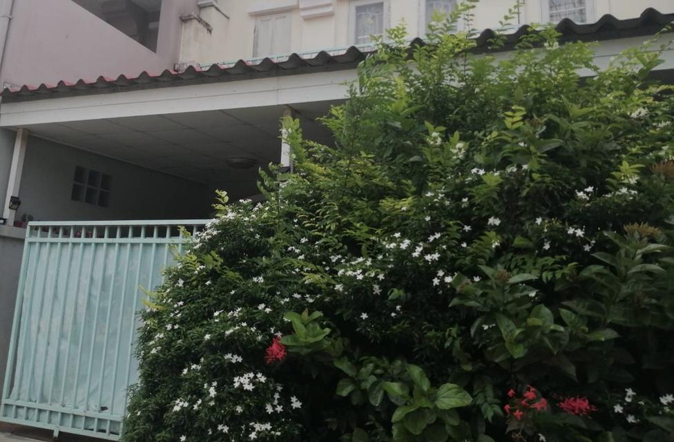 ขายทาวน์เฮาล์ใกล้เมื่องโบราณ 2
