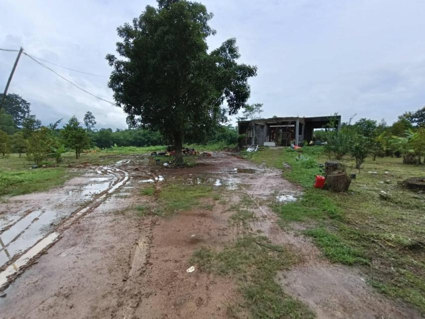 ขายที่ดินเนินหอม 9 ไร่ พร้อมสวนทุเรียนและส้มโอมีบ่อน้ำ ใกล้แยกหนองชะอม-3กม. เมืองปราจีนบุรี