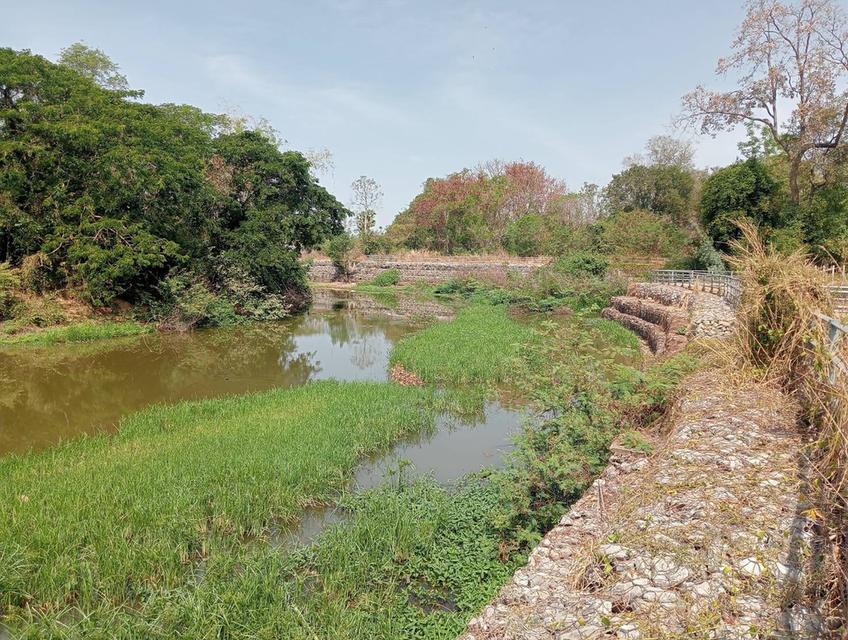 บ้านและที่ดินแปลงใหญ่ 4 ไร่เศษ ในเขตเทศบาลเมืองกาฬสินธุ์ 3