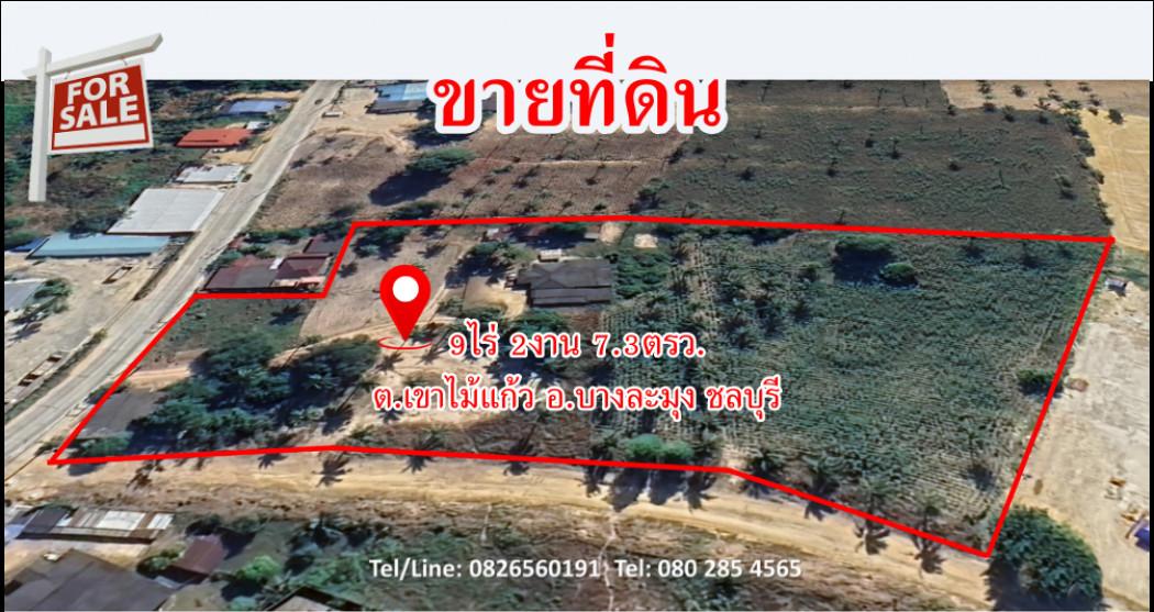 ขาย ที่ดิน ใกล้ถนน331 เขาไม้แก้ว บางละมุง ชลบุรี 9 ไร่ 2 งาน 7.3 ตรว ติดทางสาธารณ2ด้าน 2