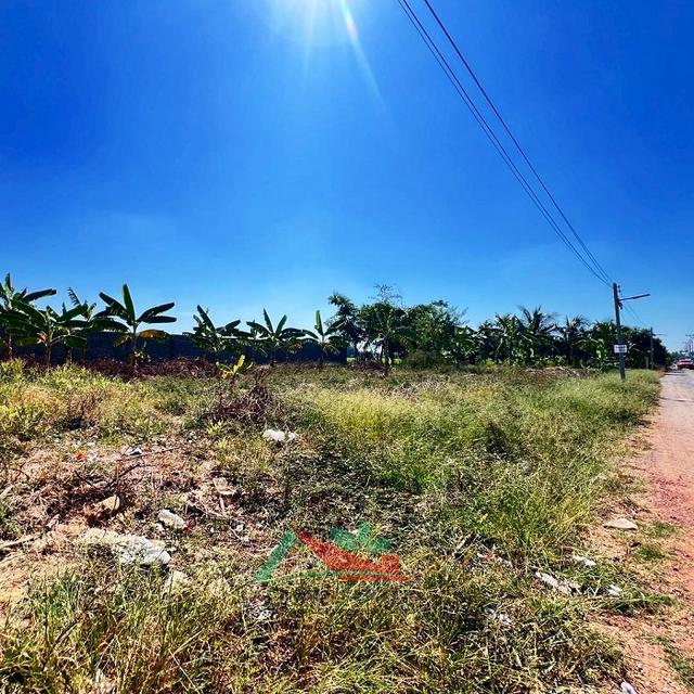 ขายถูก ที่ดินเปล่า3แปลง แปลงละ100ตรว. ซ.สังฆสันติสุข48/1 หนองจอก แบ่งขายได้ 5