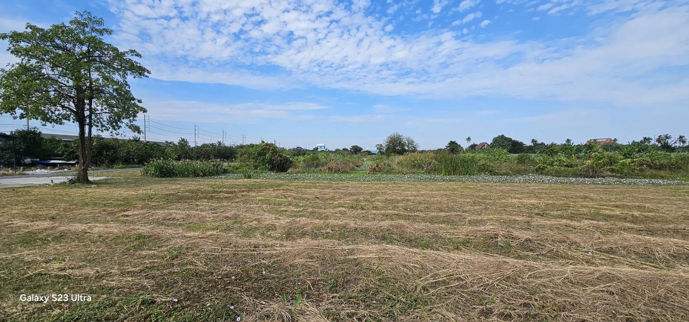 AS059 ขายที่ดินขนาด 21-2-11 ไร่ สวยงามติดถนน พร้อมถมแล้ว ใกล้ถนนพระราม 2 ถนนกว้างการเดินทางสะดวก สมุทรสาคร 3
