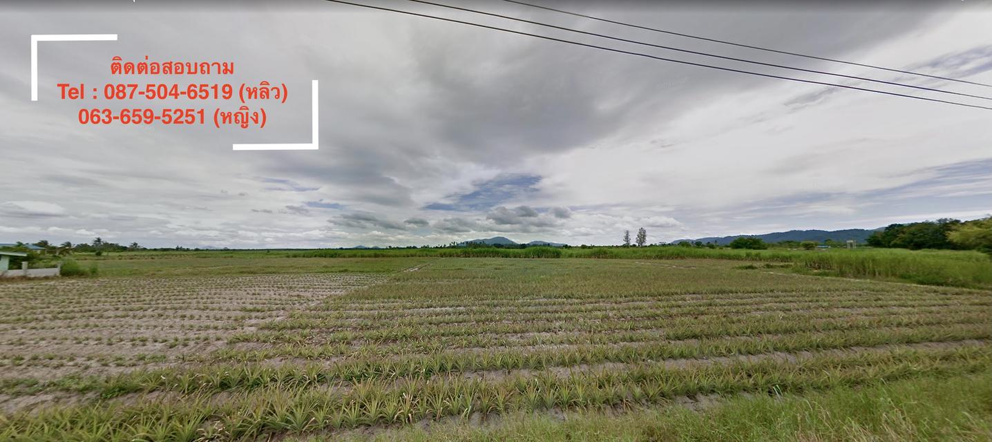 ที่ดินบ้านบึง ทำเลโครตจึ้ง ใกล้ถนน 331 ชลบุรี 4