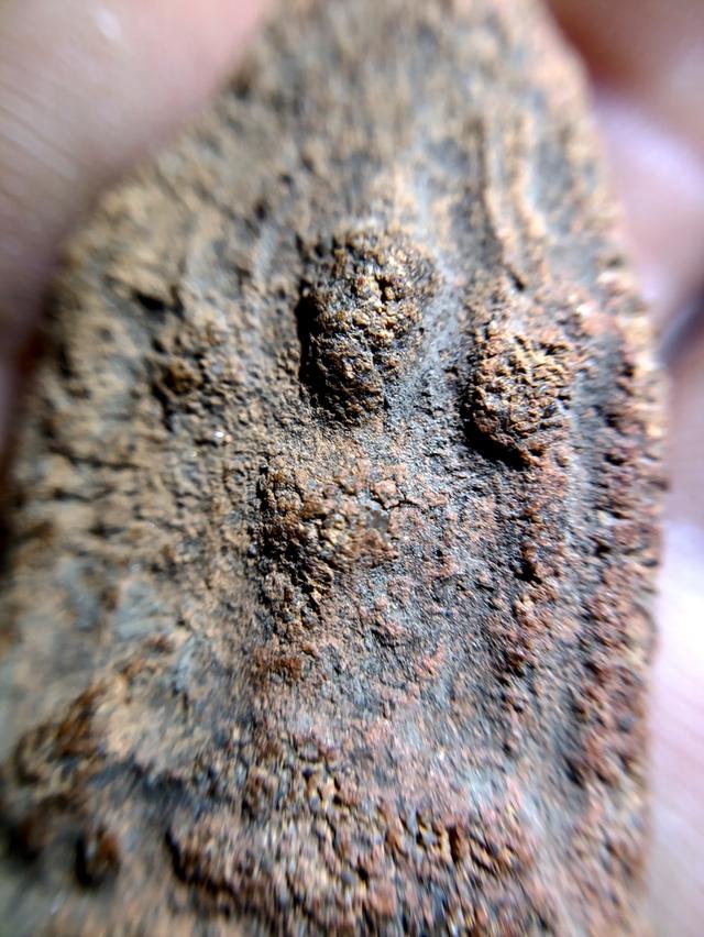 พระกรุบ้านกร่าง แท้แท้