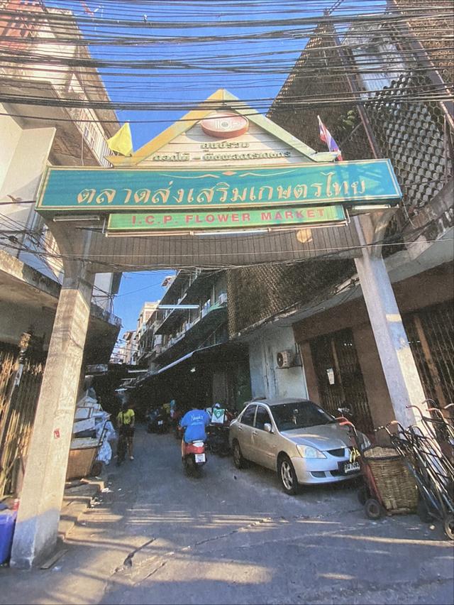 ตึกแถว 2 คูหา ใน ตลาดส่งเสริมการเกษตรไทย - ถนนอัษฎางค์ - ใกล้ปากคลองตลาด - ใกล้ MRT สนามไชย - ให้เช่า 2