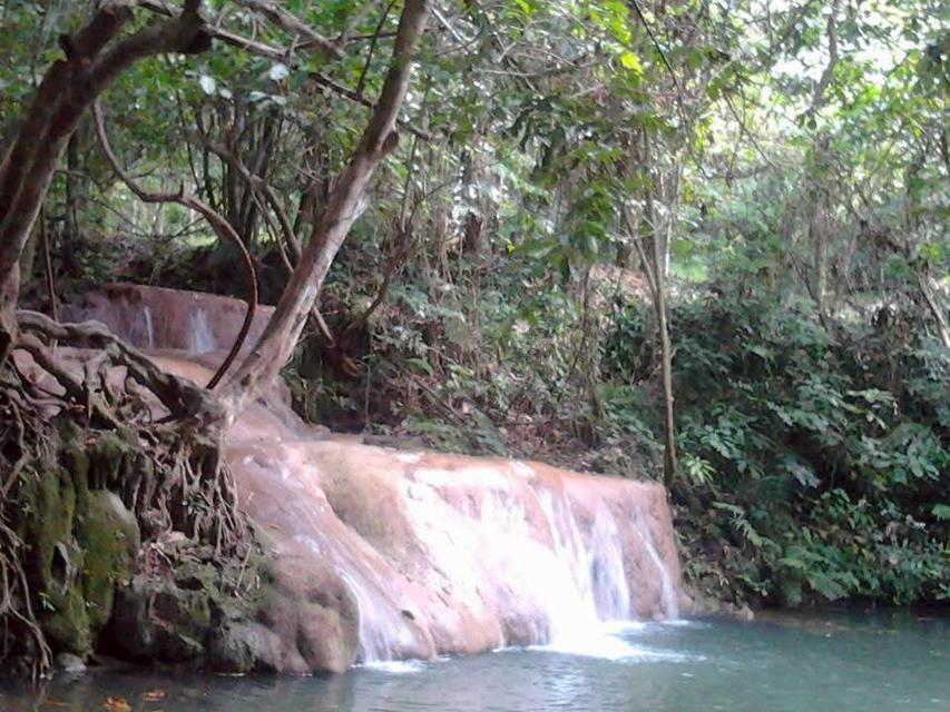 ที่ดินเปล่าวิวสวย เหมาะทำบ้านตากอากาศหรือรีสอร์ท ท่ามกลางธรรมชาติ 2