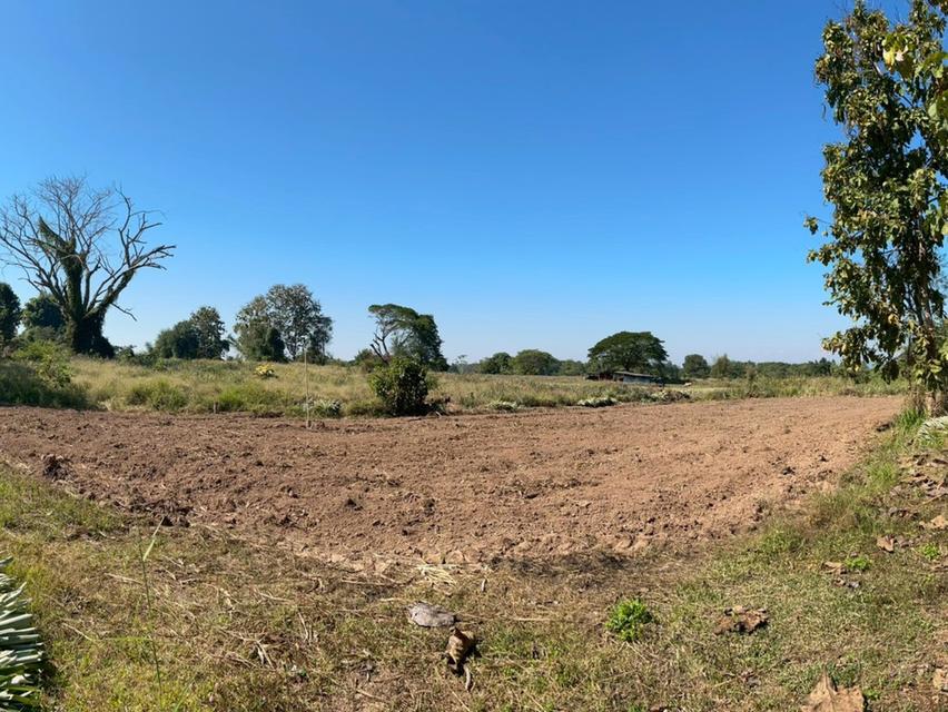 ขายที่ดินถูกกว่าราคาประเมิน 8