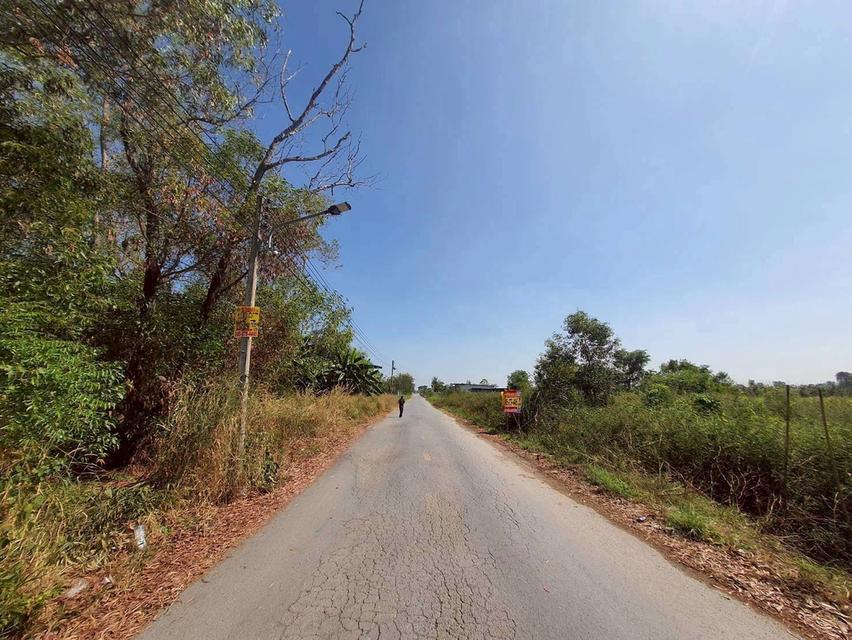 🔊Vายถูก‼️ที่ดิน 100 ตารางวา💢ติดถนนลาดยางสาธารณะ 📌 คลองสี่ ตะวันออก70 อ.คลองหลวง จ.ปทุมธานี 9